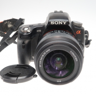 オーダーID：5365541666